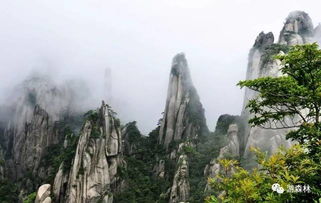世界自然遗产名录中国名单